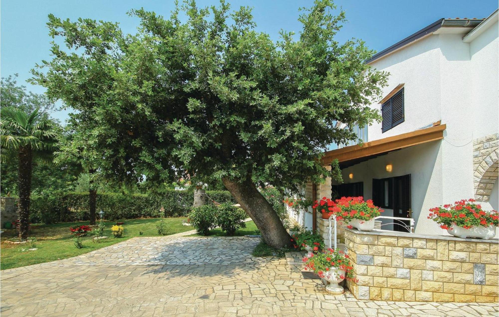 Apartment Beautiful In With Wifi *